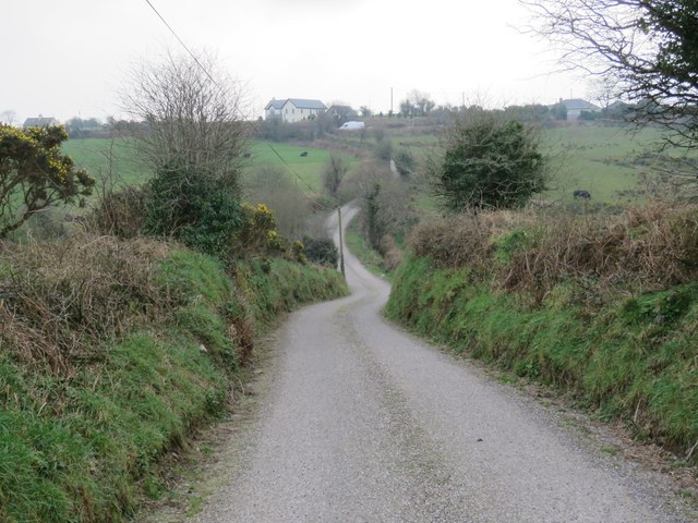 Country road near Kilnagnangy