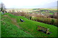 SY2493 : Viewpoint over Colyton by Nigel Mykura