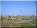 Wind turbines at Maes-y-Pwll