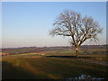 Track to Parks Farm Cottages