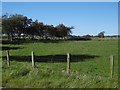 Small field, Heugh