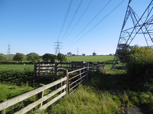Power line, Heddon