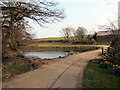 Pownd Gelli Fawr Pond