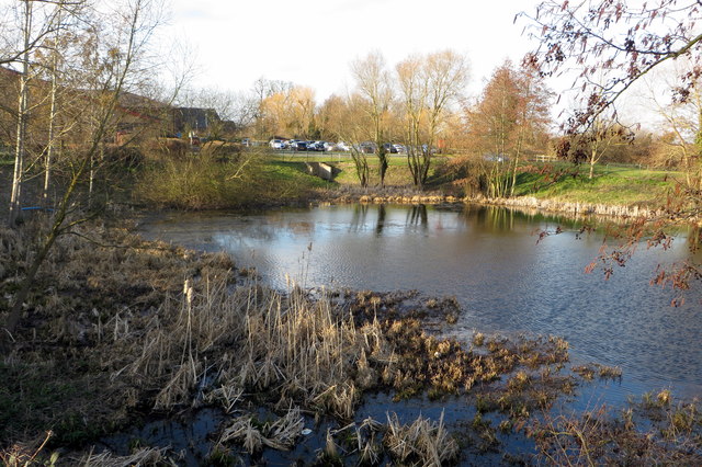 Pond by the leisure centre