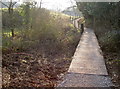 Footbridge over the pond