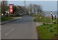 Ferry Boat Inn on Stoke Lane, Stoke Bardolph