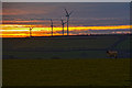 North Devon : Grassy Field