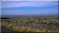 SD8043 : View over Ravensholme from Pendle Road by Steven Haslington