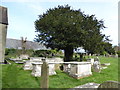 All Saints Churchyard, Patcham (c)