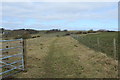 Footpath to Brighouse Bay