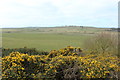 Farmland near Whitehill