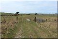 Footpath with Kissing Gate