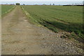 Farm track towards Arlesey