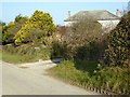 Country road passing Tredowner