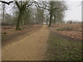 Path around edge of Richmond Park