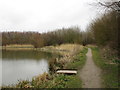 Path by the fishing pond