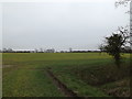 TM0983 : Field near Holly Farm by Geographer