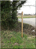 TM0883 : Footpath sign off Common Road by Geographer