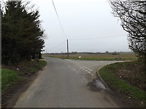 TM0883 : Common Road, Bressingham Common by Geographer