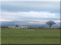 Fields near Gorse Hall, Standish