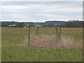 Possibly a disused mine shaft near Gorse Hall