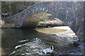 Under the arch of the bridge at Grange