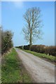 ST3645 : Lane on Mark Moor by Derek Harper