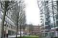 View back out onto Leman Street from the Goodman