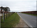 A1304 towards Thetford