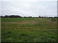 Farmland south of New Road