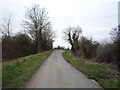 Lane heading south towards Burthorpe