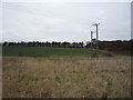 Farmland near Little Papeley Wood