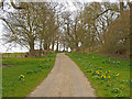 Bridleway on track to Howses, Great Sampford