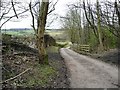 Lane running down to Green Lane and Brough Green