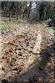 SS8777 : Hoofprints on Sandy Track by Alan Hughes
