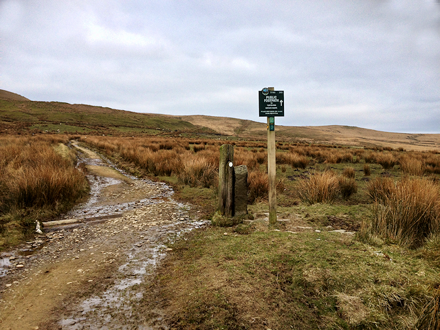 Track Towards Turton Moor (Tacklers' Trail)