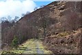 NN5407 : Lendrick Hill and Dam Walk, Trossachs by Jim Barton