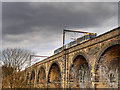 SD7807 : Radcliffe Viaduct by David Dixon