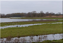 TL3470 : High water levels on Ferry Mere by Hugh Venables