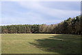 Field on north side of trees