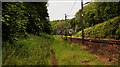 Disused Track, Newlay to Calverley, Leeds