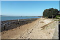 Sandy Beach at Shotley Gate