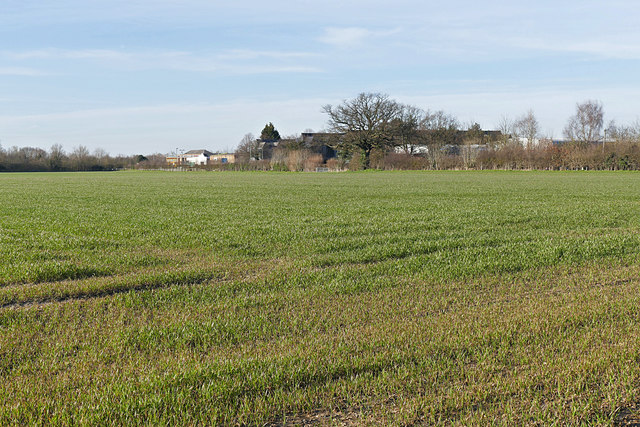 Farmland near Thorpe