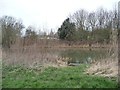 Fishing peg on the former Worsbrough branch