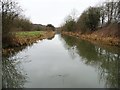 The former Worsbrough branch canal [upper level]