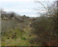 Path between Sefton Coast Path and Grafton Close