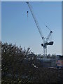 A crane viewed from Queen Anne Terrace car park, Cambridge