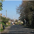 On Cambridge Road in early spring