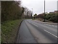 Long Lane - viewed from Richmondfield Avenue