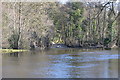 Weir, River Nidd